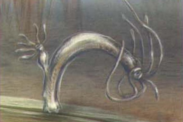 Kra17.cc